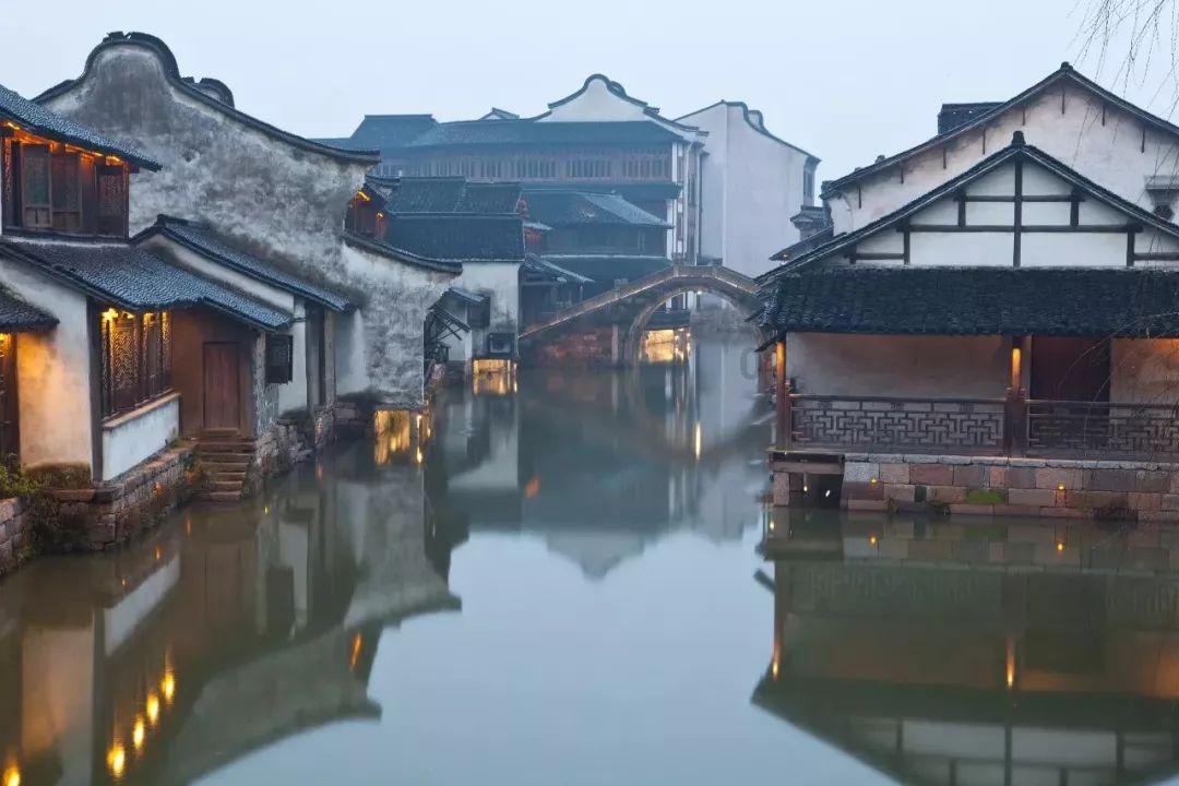 组装机械章鱼龙